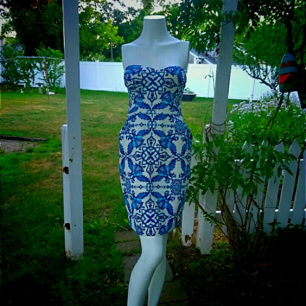 NWT Damask Dress